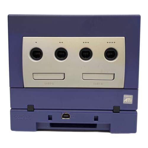 GAMECUBE DOL-017 eカタログ スタートアップディスク コントローラー メモリーカード251