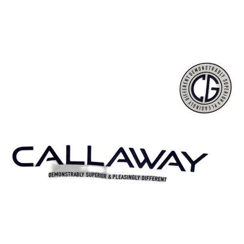 Callaway (キャロウェイ) ゴルフウェア(トップス) メンズ SIZE L ホワイト 半袖モックネック 無地 C25134105