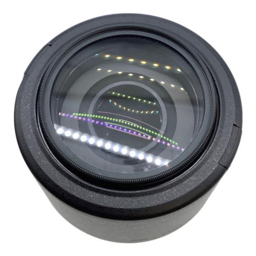 Nikon (ニコン) ズームレンズ AF-S NIKKOR 55-300mm 1:4-5:6 G ED 動作未確認