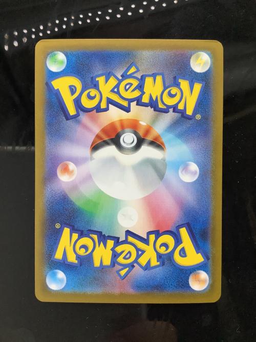 ポケットモンスター ポケモンカード シロナのガブリアスex 087/063 SAR