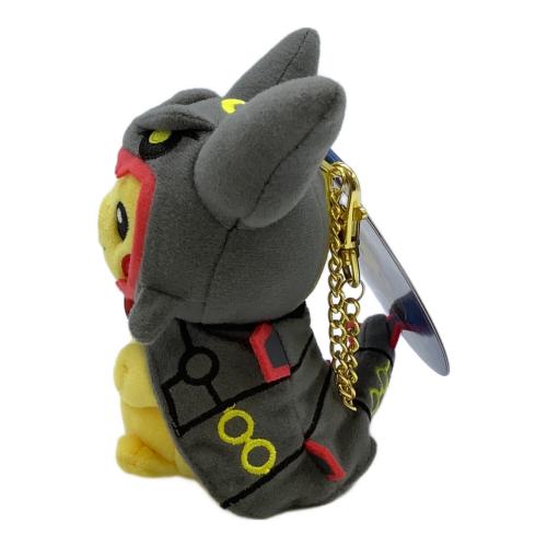 ポケットモンスター ポンチョを着たピカチュウ 黒いレックウザ