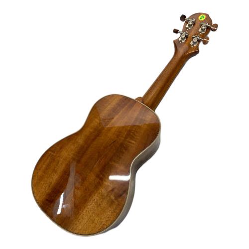 BIG ISLAND UKULELE ウクレレ KR-SPG 2017年製
