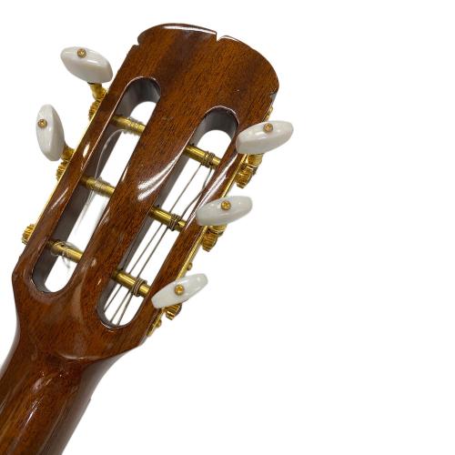 アリア　エレアコ ARIA (アリア) エレアコギター SANDPIPER DELUXE｜トレファクONLINE