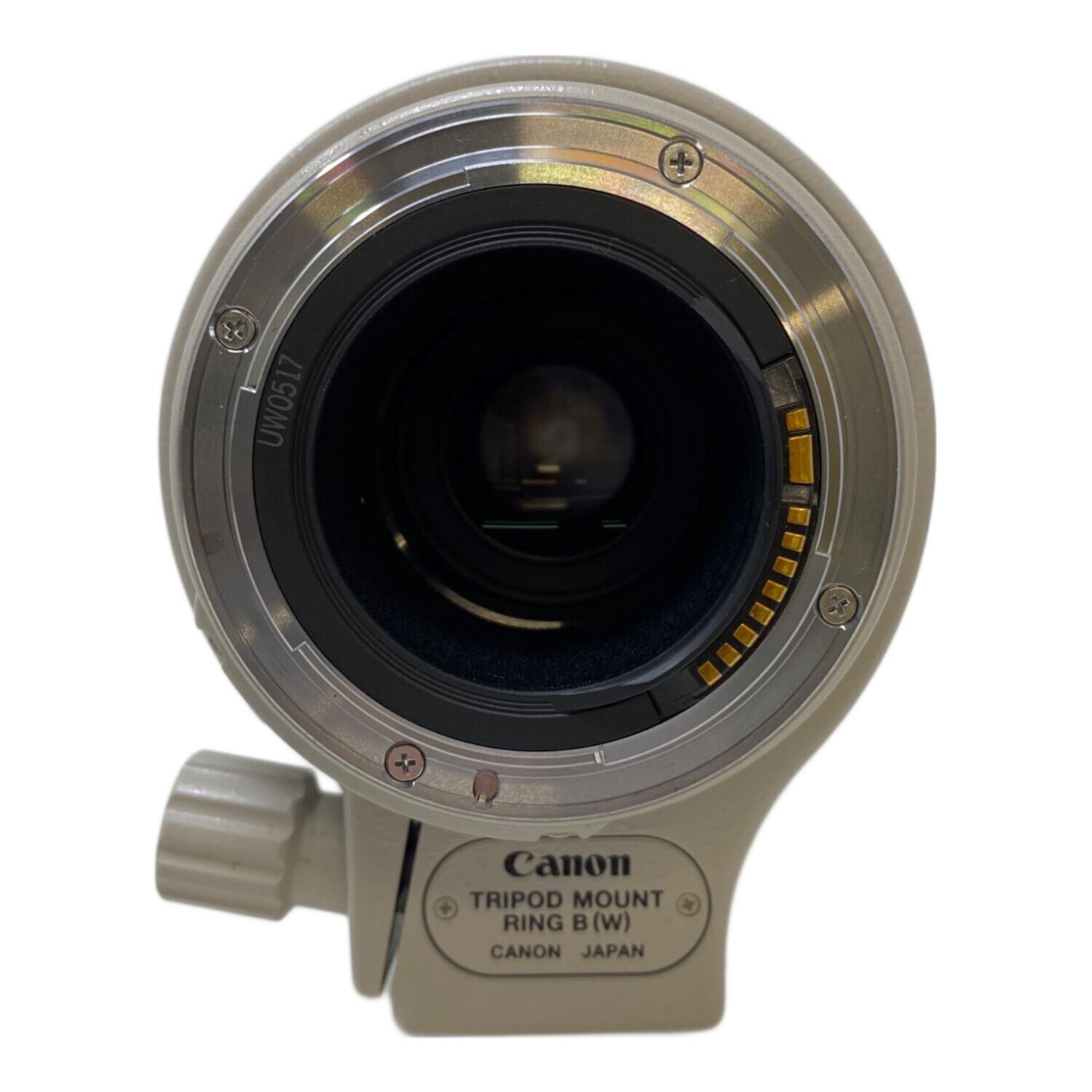 CANON (キヤノン) ズームレンズ F100-400㎜ F4.5-5.6L IS USM キャノン