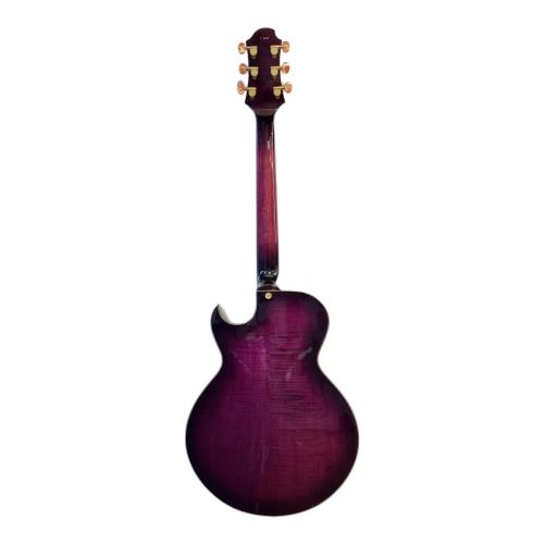 Greco (グレコ) セミアコモデル エレキギター RS-1000 1989年製