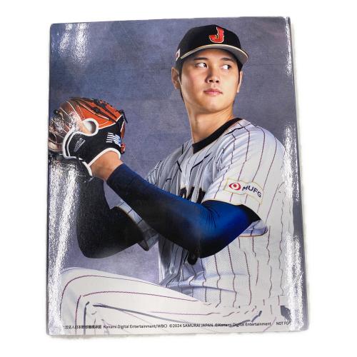 プロ野球スピリッツ2024-2025 Playstation5用ソフト CERO A (全年齢対象)