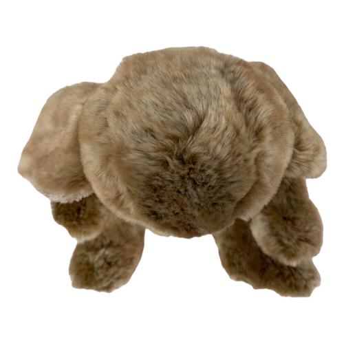 Clemens Rabbit Kazuko