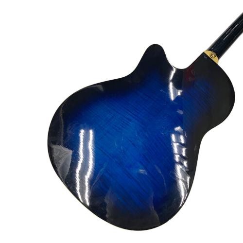 IBANEZ (アイバニーズ) エレアコギター AEF30E-TBS-3T-01