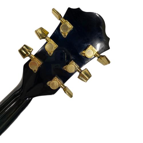 IBANEZ (アイバニーズ) エレアコギター AEF30E-TBS-3T-01