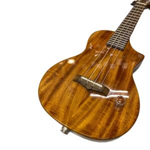 BIG ISLAND (ビッグアイランド) エレクトリックロングネック ウクレレ EUL-ACA-N/EB