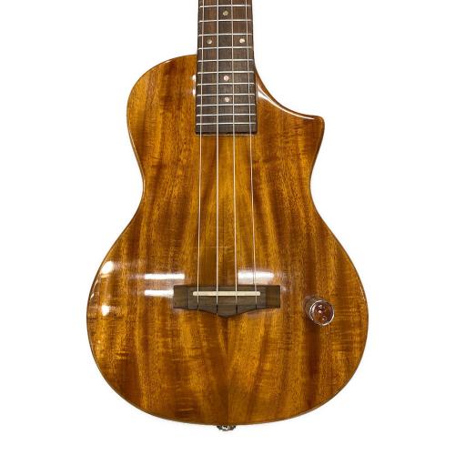 BIG ISLAND (ビッグアイランド) エレクトリックロングネック ウクレレ EUL-ACA-N/EB