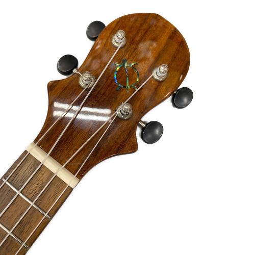 BIG ISLAND (ビッグアイランド) エレクトリックロングネック ウクレレ EUL-ACA-N/EB