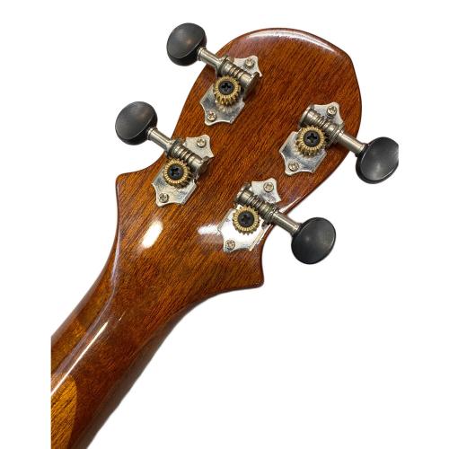 BIG ISLAND (ビッグアイランド) エレクトリックロングネック ウクレレ EUL-ACA-N/EB