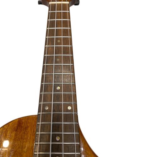 BIG ISLAND (ビッグアイランド) エレクトリックロングネック ウクレレ EUL-ACA-N/EB