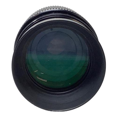 Nikon (ニコン) ズームレンズ