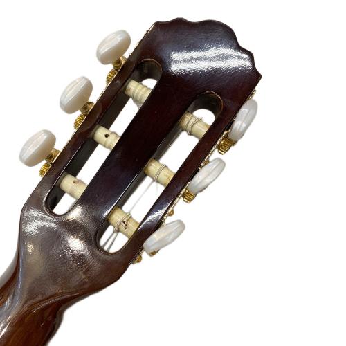 MORRIS (モーリス) GrooVin エレクトリックガットギター PA-60Z @