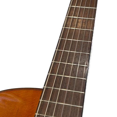 MORRIS (モーリス) GrooVin エレクトリックガットギター PA-60Z @