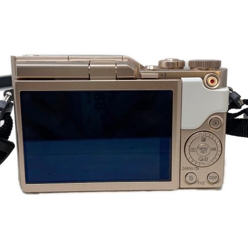 Panasonic (パナソニック) ミラーレス一眼カメラ DC-GF10W
