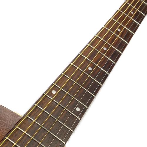 Art&Lutherie Folk Cedar Antique Burst