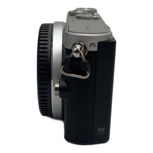 Panasonic (パナソニック) コンパクトデジタルカメラ/ボディ DMC-GM1 専用電池 WF3KA001694