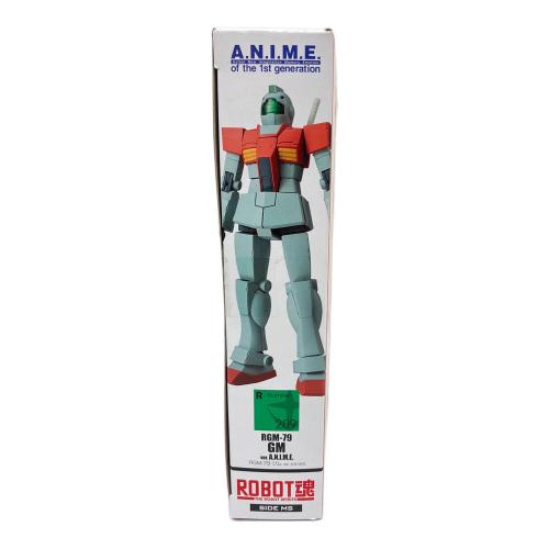 ROBOT魂 SIDE MS RGM-79 ジム ver. A.N.I.M.E.