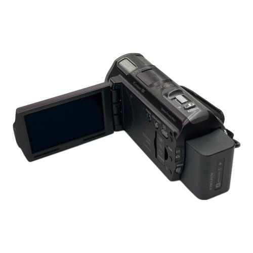 SONY (ソニー) デジタルビデオカメラ HDR-CX560V