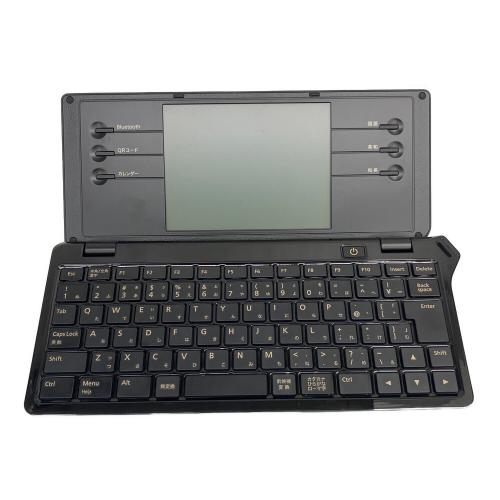 KINGJIM (キングジム) デジタルメモ DM100