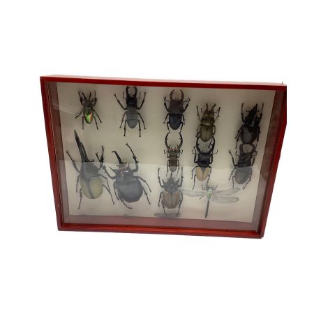 DeAGOSTINI (ディアゴスティーニ) 世界の昆虫データブック フィギュア66体・ブックレット・標本箱セット