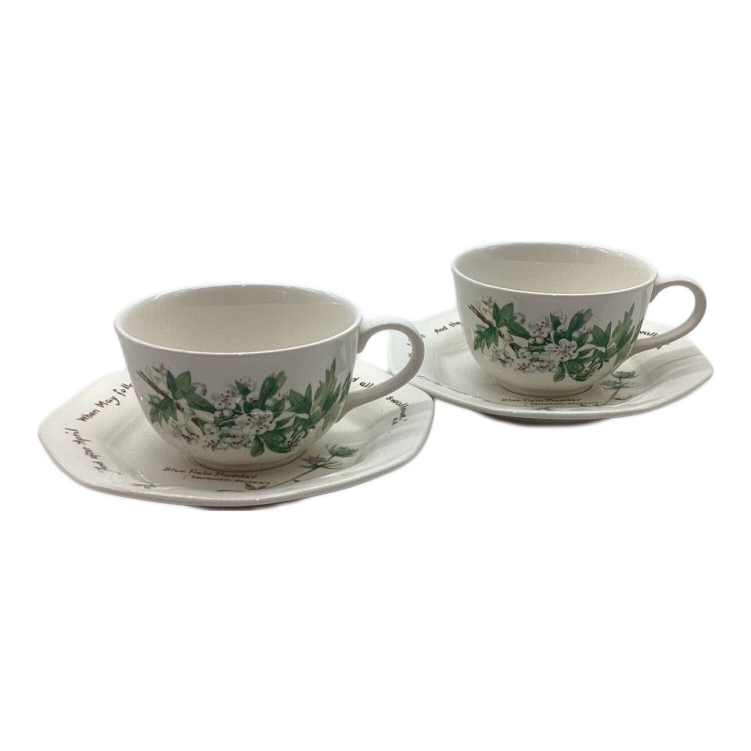 Noritake (ノリタケ) カップ&ソーサー カントリーダイアリー 2Pセット