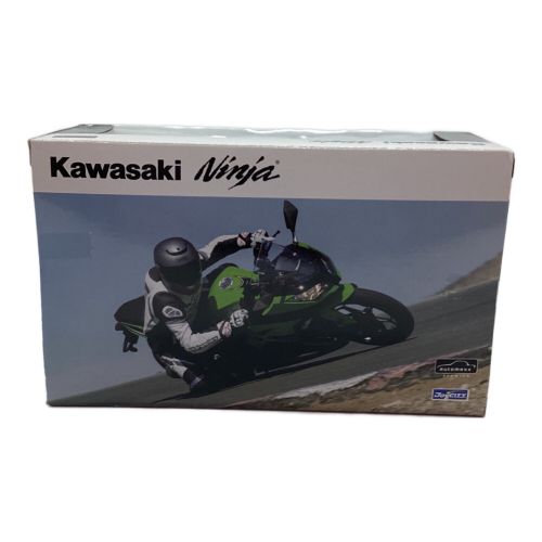 AOSHIMA (アオシマ文化教材社) フィギュア 1/12 Kawasaki Ninja250 ライムグリーン