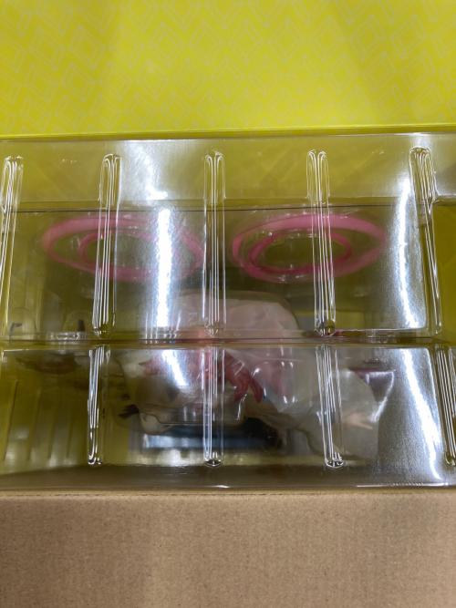 GOODSMILE COMPANY (グッドスマイルカンパニー) フィギュア ミホノブルボン 栗毛のサイボーグ ウマ娘プリティダービー