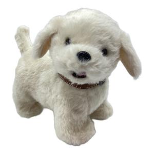 IWAYA (イワヤ) おいで!おいで!よってくる!部屋ともワンちゃんレトリバー