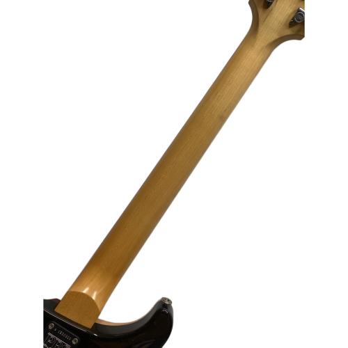 Paul Reed Smith (ポールリードスミス) エレキギター CE24