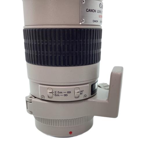CANON (キヤノン) レンズ EF 300mm 1：4 L ULTRASONIC 100686
