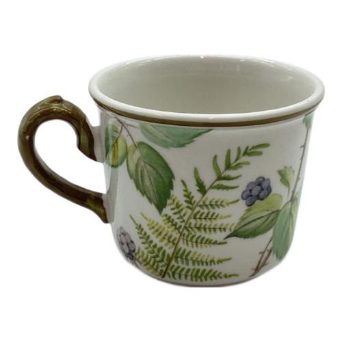 Villeroy&Boch (ビレロイアンドボッホ) カップ&ソーサー Forsa