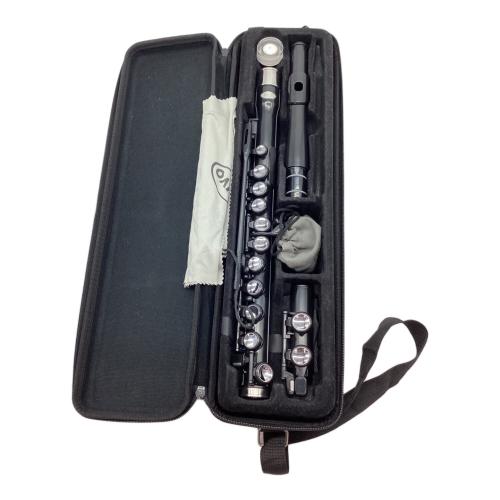 NUVO (ヌーヴォ) フルート プラスチック製管楽器 フルート