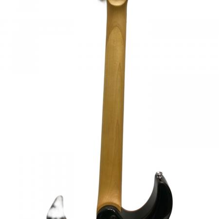 SCHECTER (シェクター) エレキギター AD-BS-FR-EXT DIAMOND EXTREME