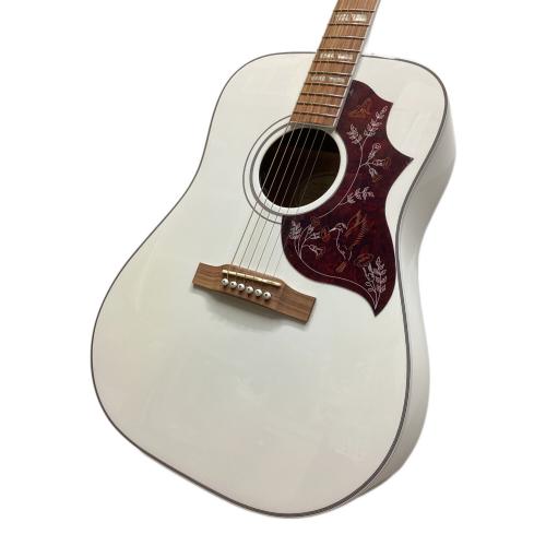 EPIPHONE (エピフォン) Hummingbird PRO/AW エレアコギター