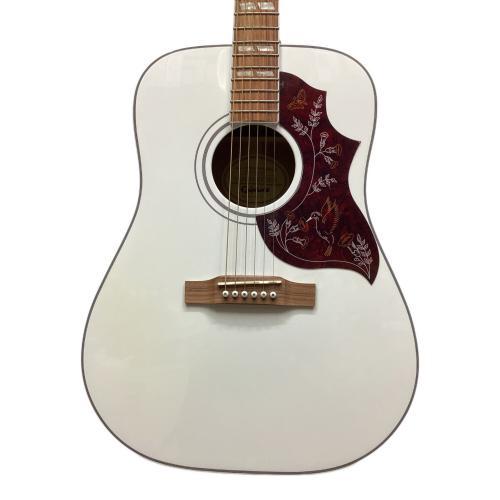 EPIPHONE (エピフォン) Hummingbird PRO/AW エレアコギター