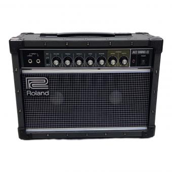 ROLAND (ローランド) ギターアンプ J-22