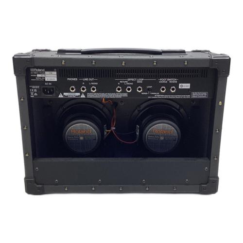 ROLAND (ローランド) ギターアンプ J-22