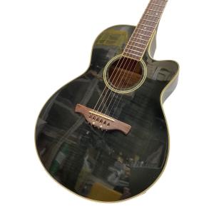 BARCLAY (バークレー) エレアコギター SL480TM