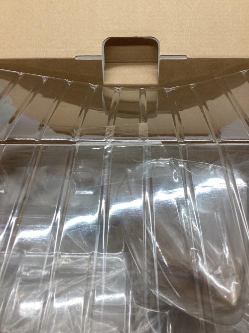 BANDAI (バンダイ) 一番くじ 爬虫類＆両生類 A賞 フトアゴヒゲトカゲ フィギュア