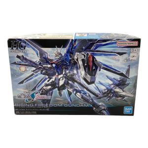 BANDAI (バンダイ) ライジングフリーダムガンダム 機動戦士ガンダムSEED FREEDOM HG 1/144 ガンプラ HG 1/144