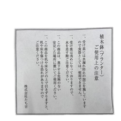橘吉 (タチキチ) 植木鉢