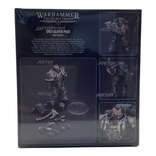 JOY TOY (ジョイトイ) GREY SLAYER PACK GREY SLAYER 2 フィギュア