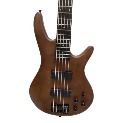 IBANEZ (アイバニーズ) エレキベース GSR205B-WNF