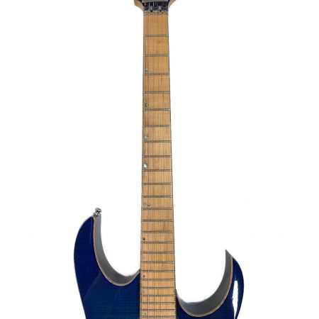 IBANEZ(アイバニーズ) エレキギター J.Custom RG8570M 動作確認済み