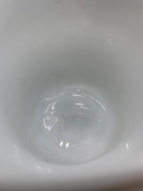 RICHARD GINORI (リチャードジノリ) デミタスカップ&ソーサー ベッキオ・グレース 6Pセット