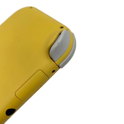 Nintendo (ニンテンドー) Nintendo Switch Lite HDH-001